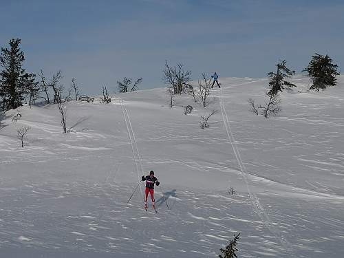 Ned frå Blesterråkvarden