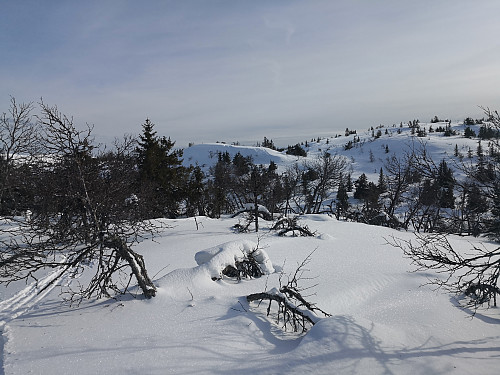 Blesterråkvarden frå Roshaugen sørvest