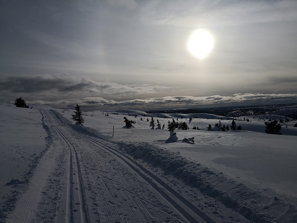 Flotte løyper, og fint vêr