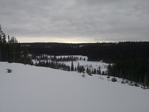 Utsikta på Skolthaugen