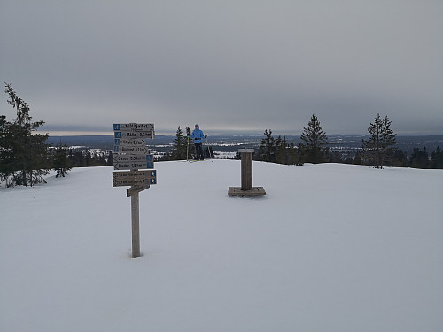 På Målifjellet