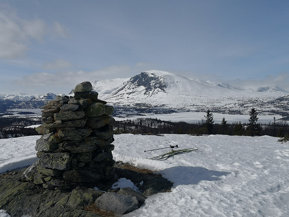 Skogshorn frå Vidhovd
