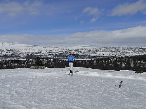 På Vidhovd