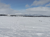Hansi_20200404_5e88e649bf5d0.jpg