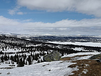 Hansi_20200404_5e88e64d21bb5.jpg