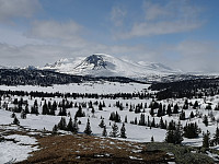 Hansi_20200404_5e88e64f2be8c.jpg