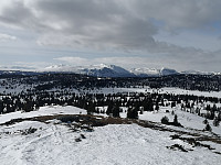 Hansi_20200404_5e88e65192af6.jpg