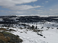 Hansi_20200404_5e88e6532bb68.jpg