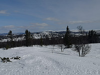 Hansi_20200404_5e88e7883331f.jpg