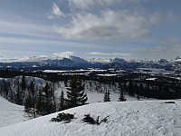 Hansi_20200404_5e88e78a149ce.jpg