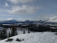 Hansi_20200404_5e88e78c14b38.jpg