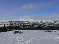 Hansi_20200404_5e88e78dd0bcd.jpg