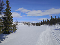 Hansi_20200404_5e88e791211d9.jpg