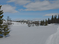 Hansi_20200404_5e88e79259070.jpg