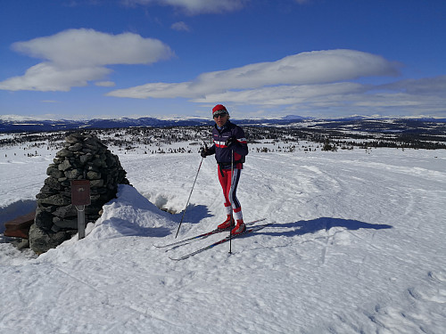 På Hærfjellet