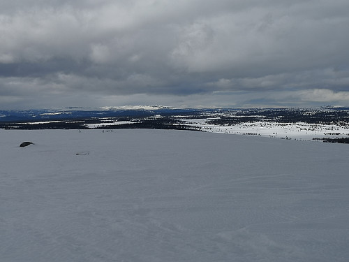 Skeikampen, Prestkampen og Bånsæterkampen frå Sjøsæterfjellet. Heidalsmuen og Saukampen sjåast såvidt.