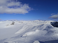 Hansi_20200418_5e9aaa205f9cf.jpg