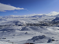 Hansi_20200418_5e9aaa217ce5d.jpg