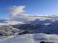 Hansi_20200418_5e9aaa3005fb9.jpg