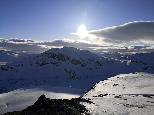 Stølsnøse frå Raudbergkampen