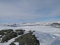 Hansi_20200419_5e9bf06f90e20.jpg