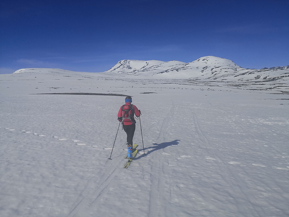 På veg innover mot Steindalen