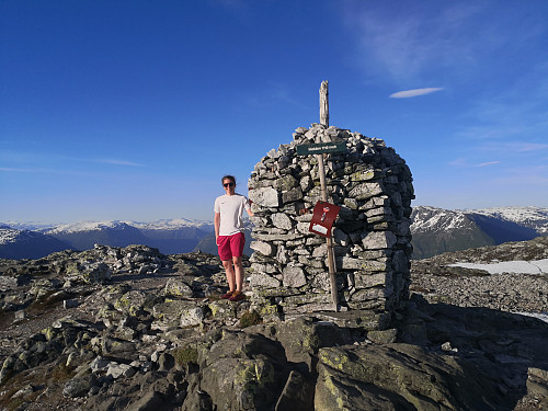 Toppvarden