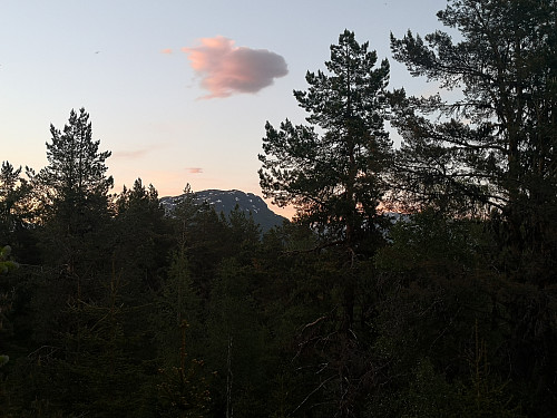 Molden frå Storehaug