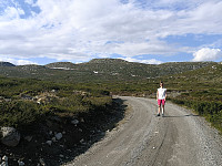 Oppover mot Skreddalsfjellet