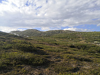 Oppover mot Skreddalsfjellet