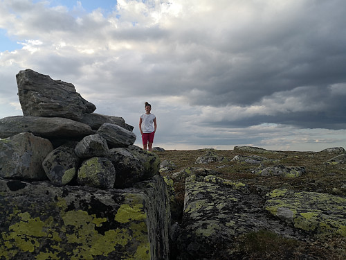 På Øystre Skreddalsfjellet