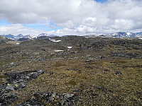 Hansi_20200719_5f1463a683146.jpg