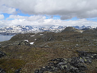Hansi_20200719_5f1463a8c19d1.jpg