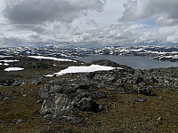 Hansi_20200719_5f1463b207dc1.jpg