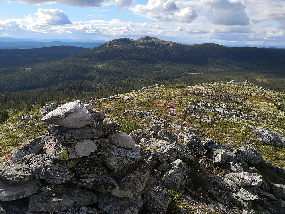 Store Byringen frå Vesle