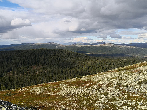 Mot Vestnubben og Storhøgda m.m, med Rendalssølen bak, frå Vesle Byringen