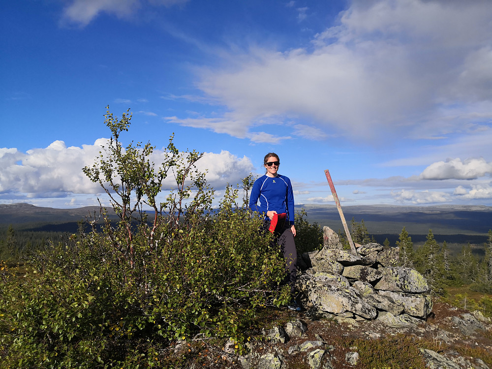 På Høgåsen