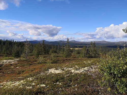 Utsikt frå Høgåsen