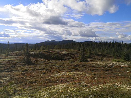 Store og Vesle Byringen frå Høgåsen