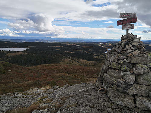 Prestkjerringa