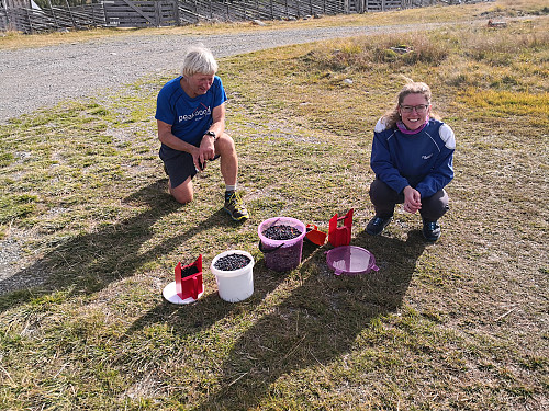 Attende på Nysetra