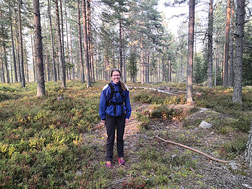 På "toppen"