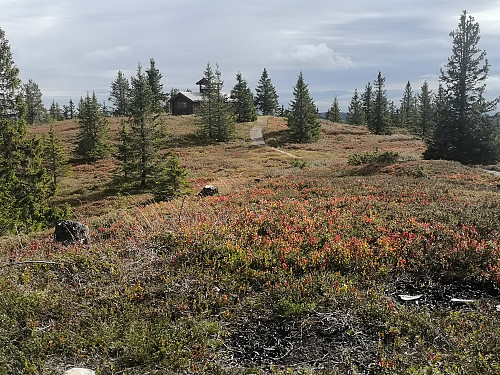 Hytta på Brumundkampen