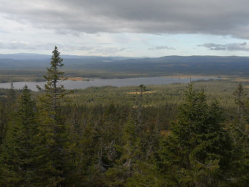Mot Brumundsjøen frå Brumundkampen. Skaget, Langsuane og Ongsjøfjellet langt bak. Tjørnholstinden kan så vidt skimtes.