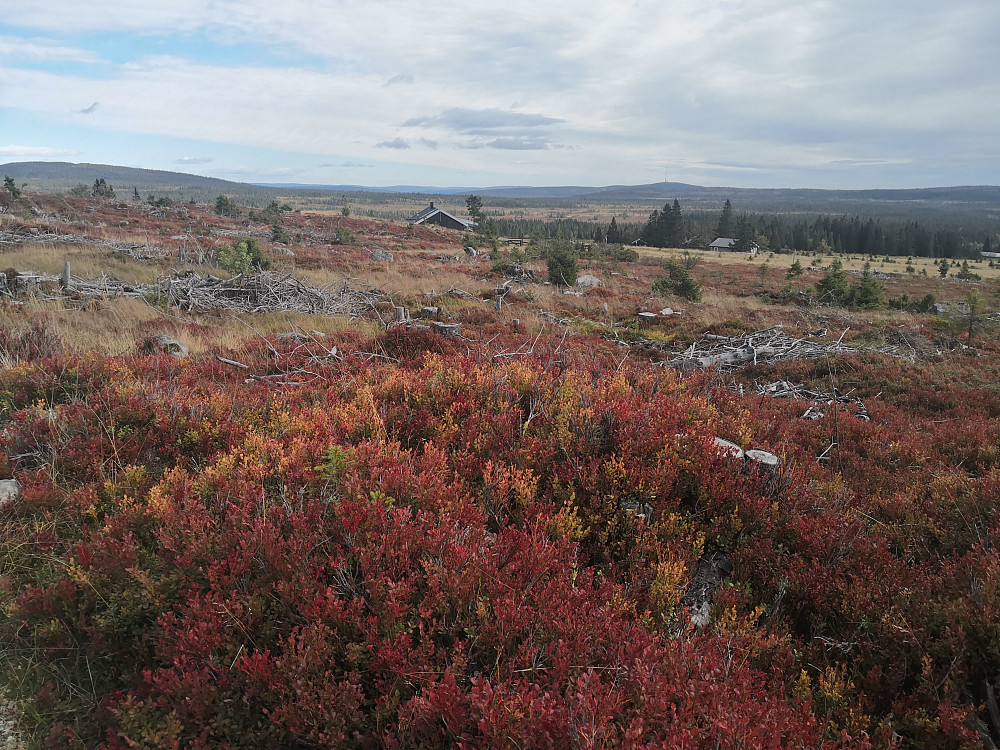 Hausfargar ved Brumundsetra