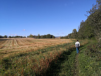 Ilsengstiene