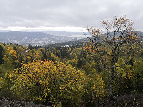 Utover Drammen frå nedunder Gruvåsen