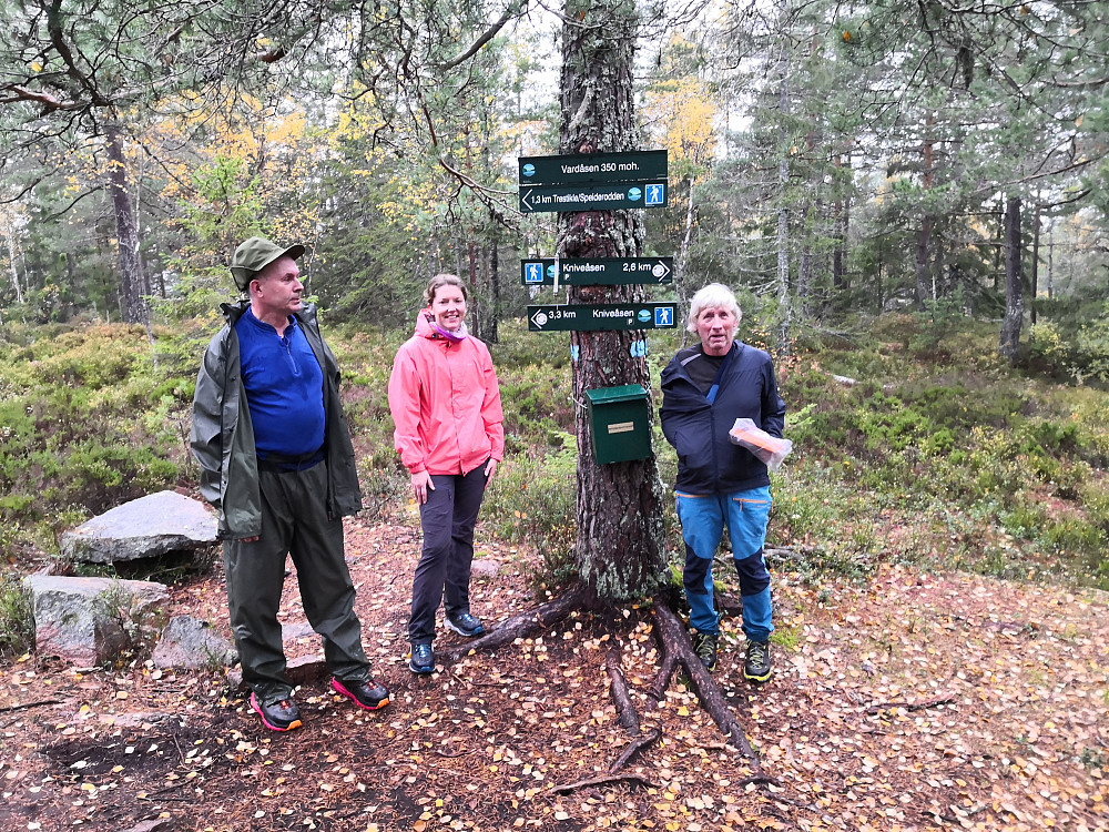 På Vardåsen