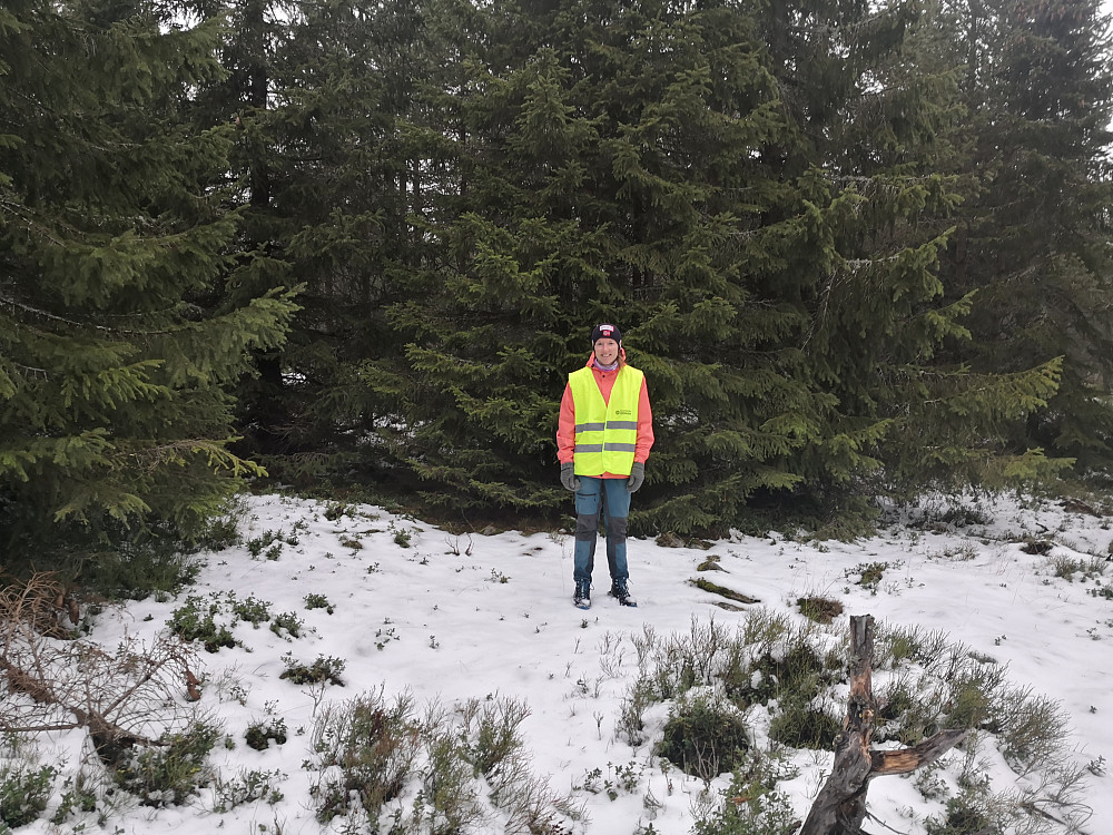 På Åshagahøgda