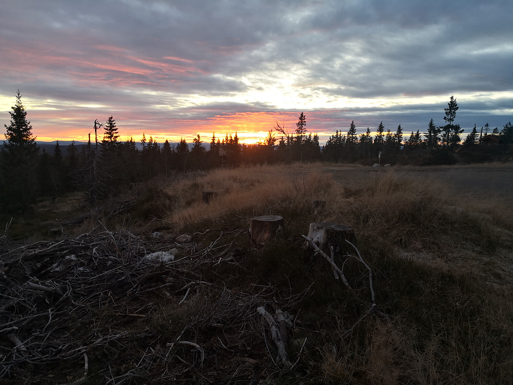 Utsikt vestover frå bilvegen nedunder Brumundkampen